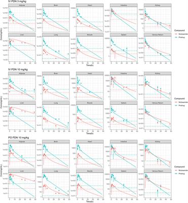 Use of physiological based pharmacokinetic modeling for cross-species prediction of pharmacokinetic and tissue distribution profiles of a novel niclosamide prodrug
